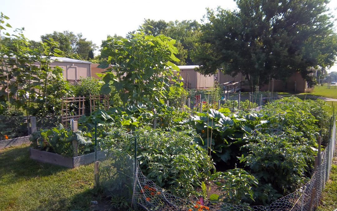 What a Glorious Mess